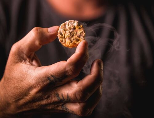 Gastronomia Molecular: A Ciência que Encanta os Sentidos